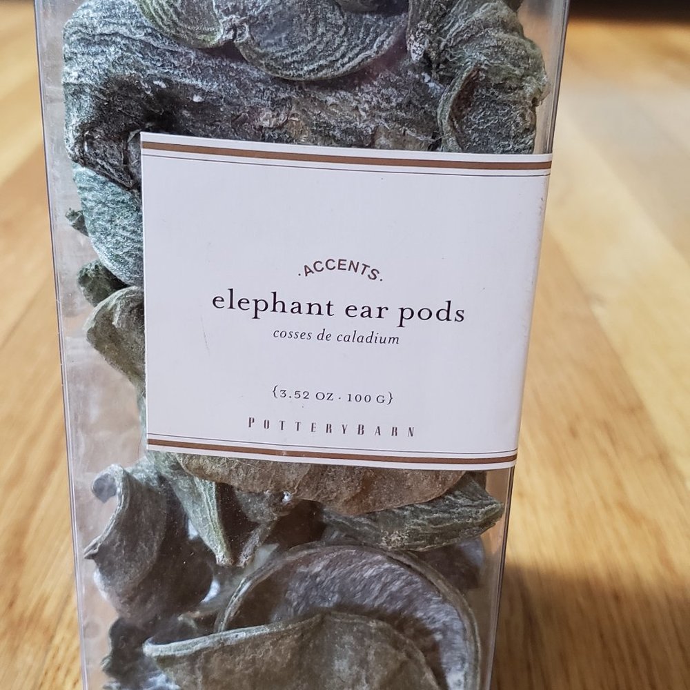 Pottery Barn Elephant Ear Pods Vase Bowl Filler